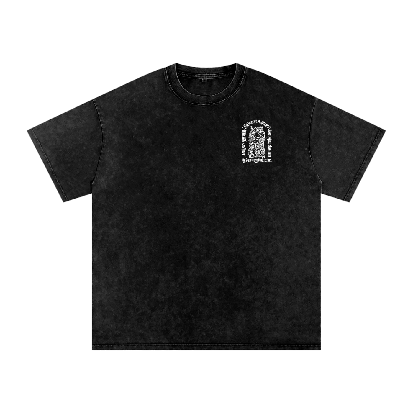 Bái Hu - Snow Washed Oversized T-Shirt