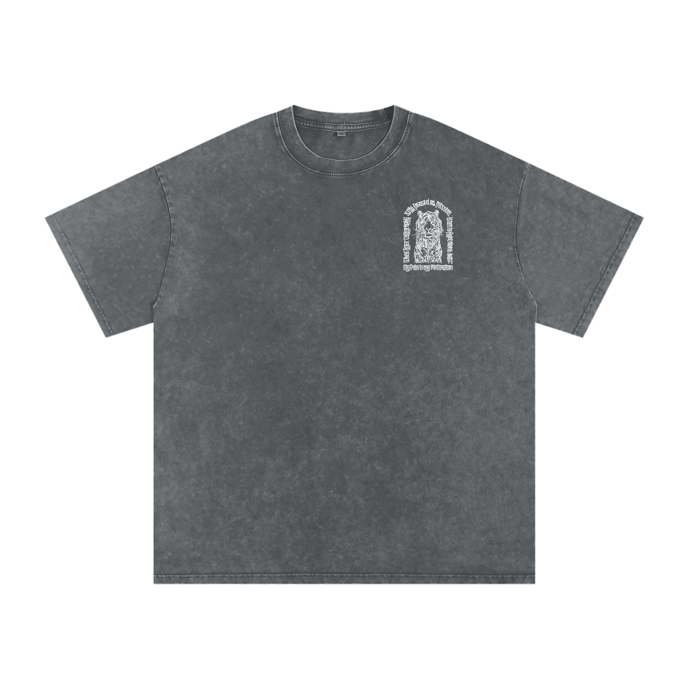 Bái Hu - Snow Washed Oversized T-Shirt